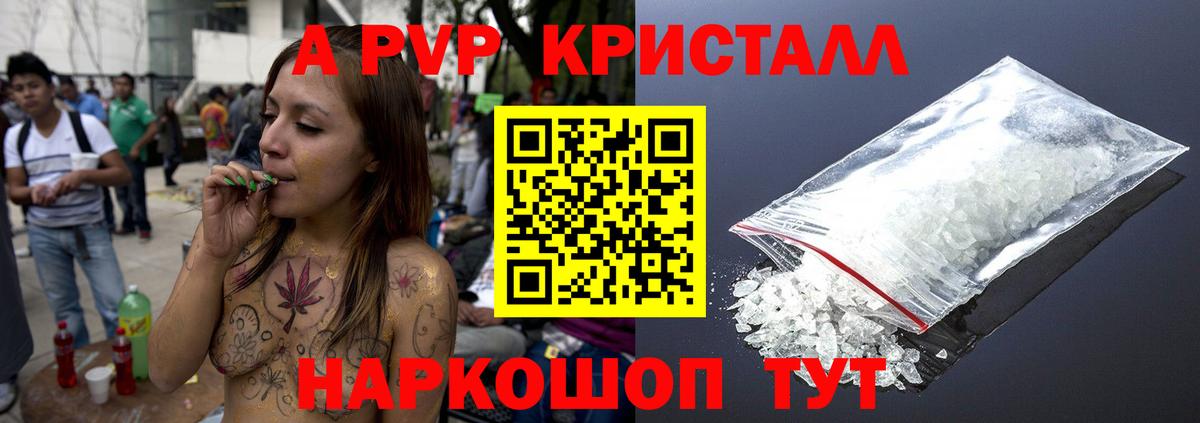 А ПВП СК КРИС Шебекино
