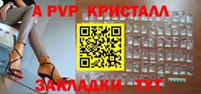 spice Кингисепп