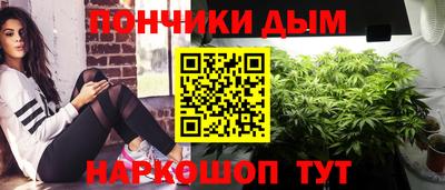 spice Кингисепп